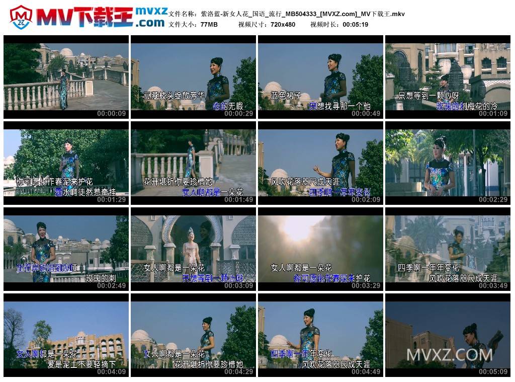 紫洛蓝-新女人花_国语_流行_MB504333